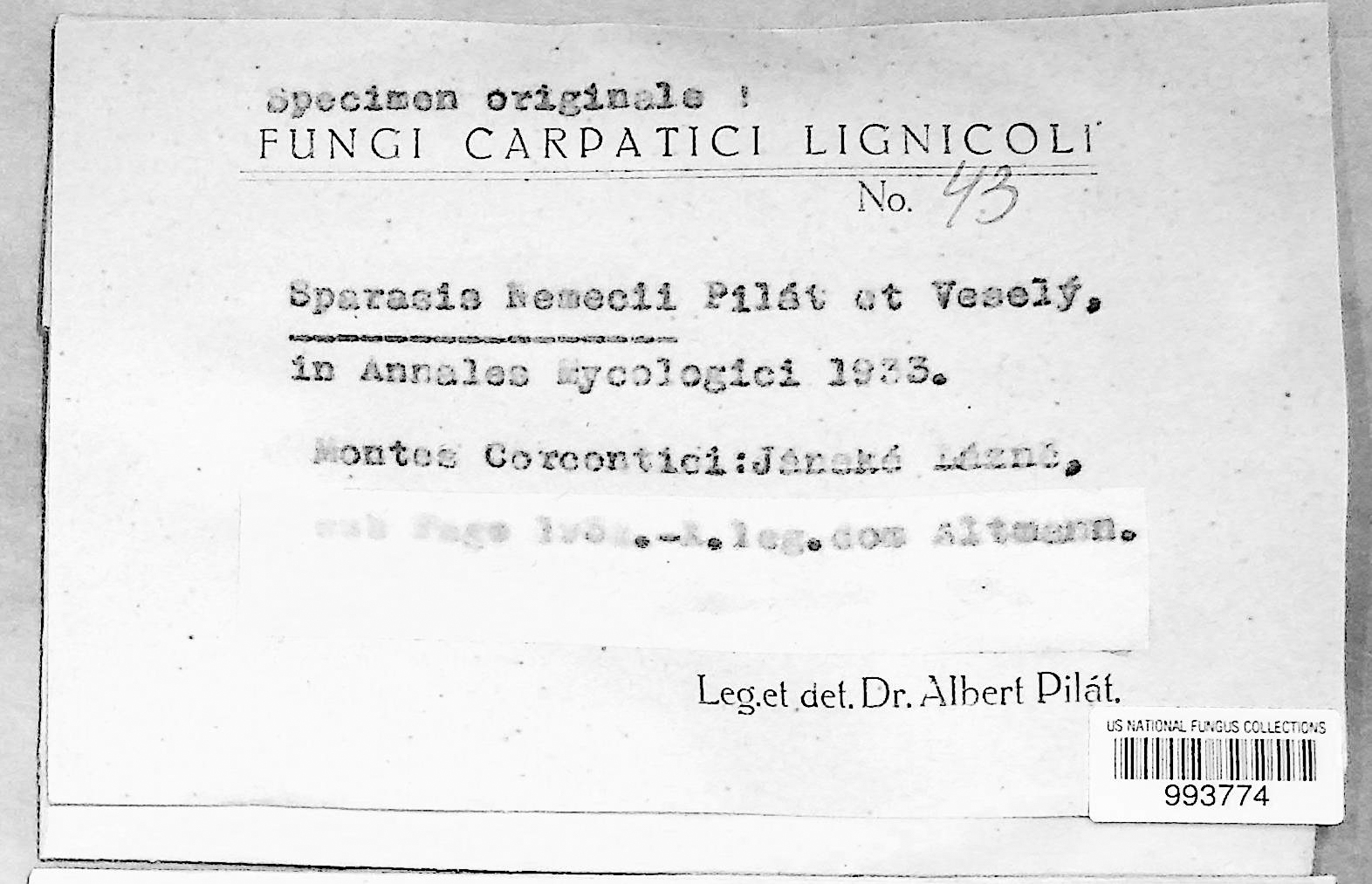 Sparassis nemecii